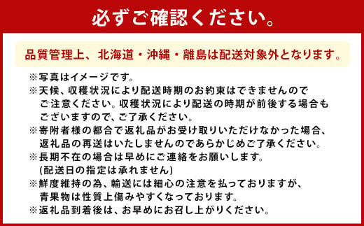 【全2回定期便】数量限定フルーツ定期便 いちご2品種 食べ比べ(あまおう・かおり野)