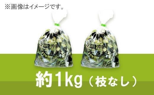 兵庫県丹波篠山市のふるさと納税 【2024年10月中旬発送】丹波ふるさと村の丹波黒枝豆500g×2(枝なし)