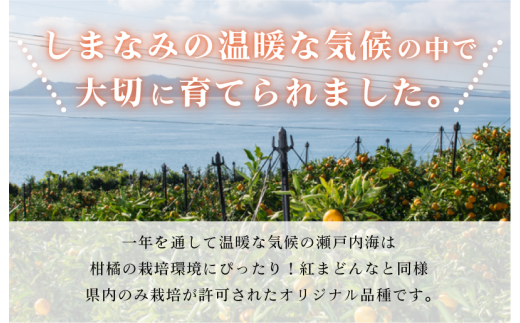 愛媛県今治市のふるさと納税 【ご家庭用】【先行予約】今治産甘平レギュラー箱 ５ｋｇ 【KC00780】