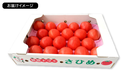 ※お届けイメージ