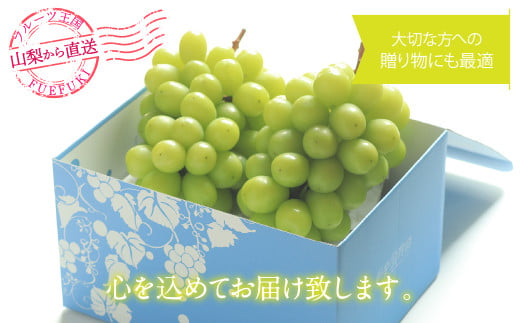 シャインマスカット 500g 222-008-4 | シャインマスカット お試し 笛吹市 山梨県 フルーツ 果物 ぶどう 葡萄 大粒 シャインマスカット  おすすめ シャインマスカット 贈答 ギフト 産地 笛吹市 シャインマスカット 山梨 笛吹 葡萄 国産 ぶどう 人気 国産 先行 予約 シャイン | -