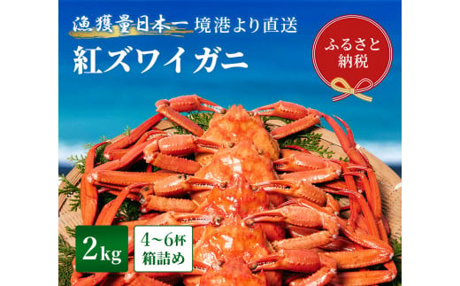 【蟹セレブ】紅ズワイガニ　2kg箱詰め（4～6杯）