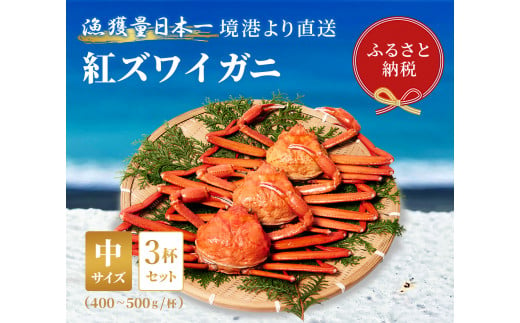 【蟹セレブ】紅ズワイガニ　中3杯セット（400～500g×3） 1361956 - 鳥取県八頭町