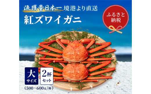 【蟹セレブ】紅ズワイガニ　大2杯セット（500～600g×2）         1361958 - 鳥取県八頭町