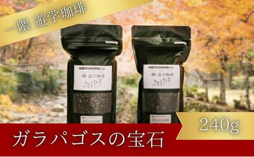 一隅 遊学珈琲　ガラパゴスの宝石 Jewels of Miconia（計240g）コーヒー 焙煎 豆 044001 777480 - 広島県三原市