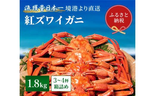 【蟹セレブ】紅ズワイガニ　1.8kg箱詰め（3～4杯） 1361963 - 鳥取県八頭町