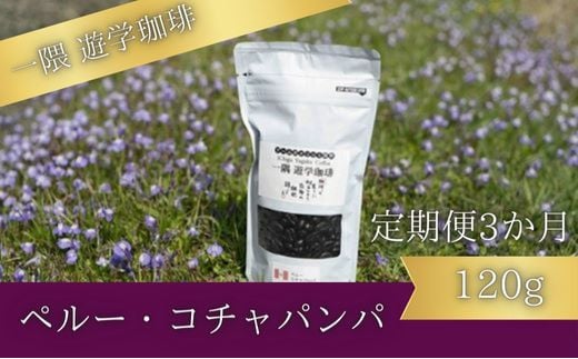 【3カ月定期便】一隅 遊学珈琲　ペルー・コチャパンパ（120g）コーヒー 焙煎 豆 044003 777482 - 広島県三原市