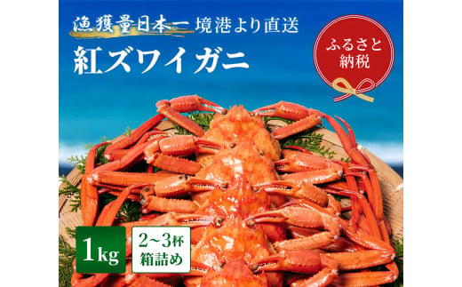 【蟹セレブ】紅ズワイガニ　1kg箱詰め（2～3杯） 1361961 - 鳥取県八頭町