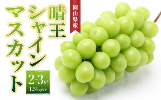 ぶどう［2025年先行予約］晴王 シャインマスカット 2房～3房（1.5kg以上）岡山県産 778205 - 岡山県岡山市