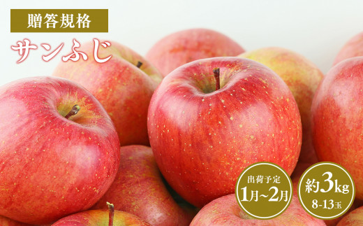 ≪令和7年産先行受付≫令和8年1～2月発送! 贈答規格サンふじ約3kg【青森県平川市産・青森りんご】【青森県 平川市 山内ファーム】 平川市産 青森りんご りんご リンゴ 林檎 ふじ 贈答 贈答品 お取り寄せ 先行予約 果物 くだもの フルーツ 