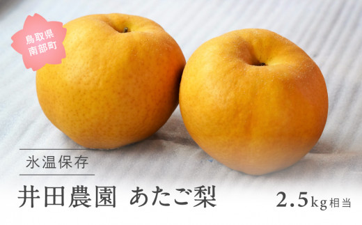 【ID04_02】鳥取県南部町産　井田農園のあたご[梨]（2.5kg箱）＜令和7年2月出荷＞ 928251 - 鳥取県南部町