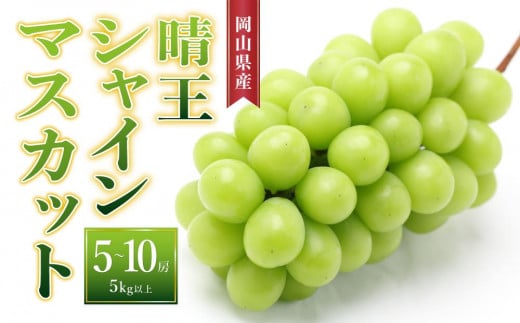 ぶどう［2025年先行予約］晴王 シャインマスカット 5房～10房（5kg以上）岡山県産 778210 - 岡山県岡山市