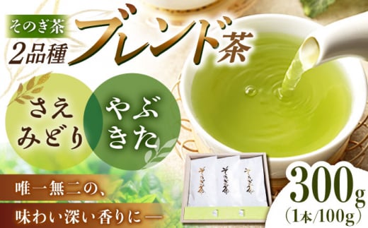 そのぎ茶 100g×3袋入り 茶 ちゃ お茶 おちゃ 緑茶 りょくちゃ 日本茶 茶葉 東彼杵町/勝野製茶 [BCJ001] 