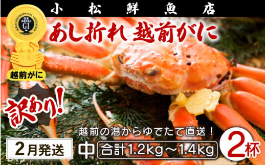 【訳あり】足折れ 越前がに 中サイズ × 2杯（1杯600〜700g）地元で喜ばれるゆで加減・塩加減で越前の港から直送！【雄 ズワイガニ ずわいがに 姿 ボイル 冷蔵 福井県】【2月発送分】希望日指定可 備考欄に希望日をご記入ください [e23-x012_02] 1094098 - 福井県越前町