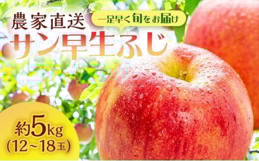 【クール便でお届け】りんご 青森 サン早生ふじ (弘前ふじ) 約5kg (12～18玉)  サイキチ農園 青森県 鰺ヶ沢町産 ふじ 早生ふじ サンふじ フルーツ 果物 贈答用 贈答 ギフト 白神山地 果物類 2124645 - 青森県鰺ヶ沢町