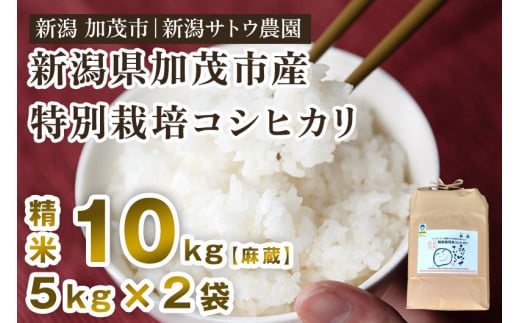 【令和6年産新米先行予約】化学肥料不使用の従来コシヒカリ【麻蔵10kg】特別栽培 有機肥料で育った厳選米  加茂市 新潟サトウ農園 1377835 - 新潟県加茂市