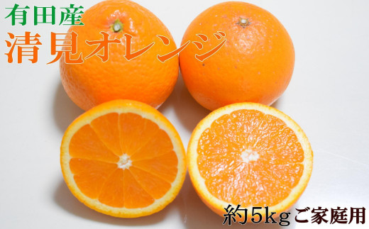 【ご家庭用】【濃厚】有田産清見オレンジ約5kg（サイズおまかせ）★2025年2月下旬頃～3月下旬頃順次発送【TM151】 1378486 - 和歌山県かつらぎ町