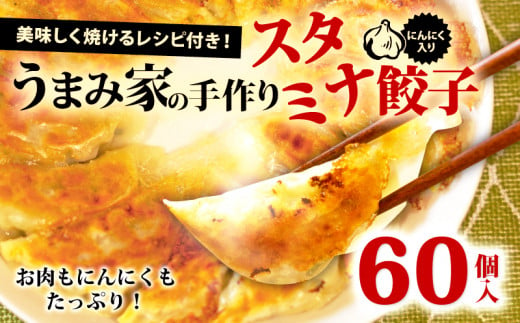 餃子 スタミナ 60個 生餃子 冷凍  手包み 手作り チャック付きパック 肉 にんにく ギョーザ  惣菜 中華 豚肉 手作り おつまみ おかず 惣菜 焼くだけ 簡単調理 グルメ スタミナ餃子 埼玉県 羽生市 うまみ家 535956 - 埼玉県羽生市