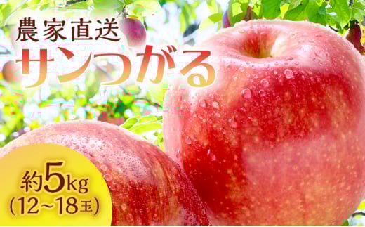 【クール便でお届け】りんご 青森 サンつがる 約 5kg (12～18玉) リンゴ サイキチ農園 青森県 鰺ヶ沢町産 フルーツ 果物 贈答用 贈答 ギフト 白神山地 果物類 林檎 2124643 - 青森県鰺ヶ沢町