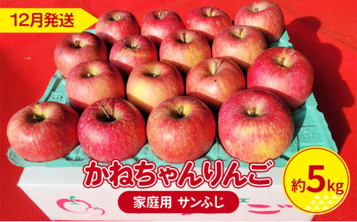 【12月発送】かねちゃんりんご 家庭用 サンふじ 約 5kg【弘前市産 青森りんご】 685796 - 青森県弘前市