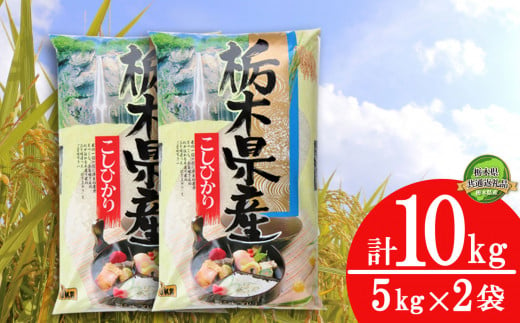 [栃木県共通返礼品・栃木県産]コシヒカリ10kg(5kg×2袋) | 白米 精米 お米 ブランド米 栃木県 特産品 下野市 送料無料