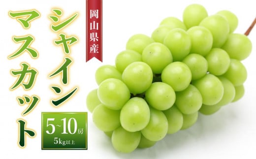 ぶどう［2025年先行予約］シャインマスカット 5房～10房（5kg以上）岡山県産 778198 - 岡山県岡山市