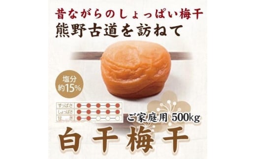 【ご家庭用】紀州南高梅 白干梅干し 500g 【US34】【準備でき次第、順次発送】 1377826 - 和歌山県かつらぎ町