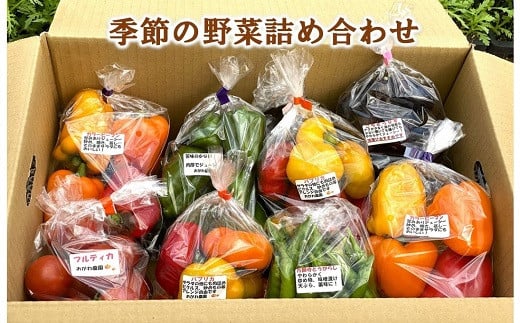 おがわ農園　季節野菜の詰め合わせ ／ セット サラダ 千葉県 特産品