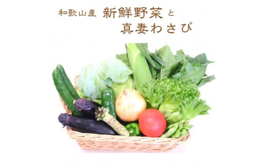 和歌山産 真妻わさびと旬の新鮮野菜セット10種