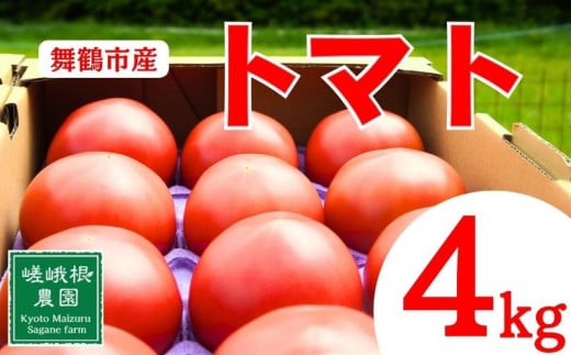 [10月末以降発送]トマト 4kg 化粧箱入 甘い 農家直送 野菜 夏野菜 新鮮 鮮度 抜群 大玉トマト 完熟トマト 評判 好評 人気 濃厚 とまと リコピン ハウス栽培 京都 舞鶴 嵯峨根農園 ジュース パスタ トマトジュース ジャム 健康食品 美肌 美容 免疫 緑黄色野菜 お中元