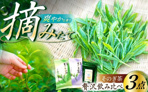 茶 ちゃ お茶 おちゃ 緑茶 りょくちゃ 日本茶