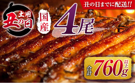 ＜丑の日までにお届け!!＞うなぎ 国産 鰻 蒲焼 数量限定 特大 高評価 4尾 計760g以上