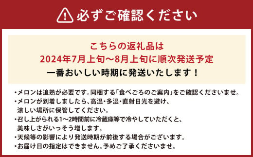 肥後グリーンメロン 2玉 (4.2～4.5kg)