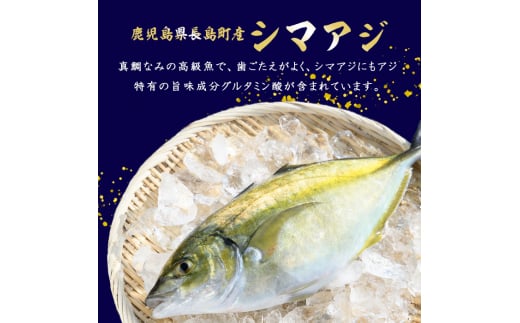 鹿児島県長島町のふるさと納税 鹿児島県長島町産 シマアジ (約1.0kg・1匹) シマアジ 鹿児島 鮮魚 一匹 柵 刺身 切り身 高級あじ 高級魚【JFA】jfa-4121