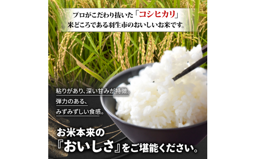 玄米 30kg 新米 予約受付 10月 以降発送 令和6年産 コシヒカリ 農家 産地直送 リピーター 多数 お米 こめ 返礼品 季節限定 期間限定  賀山友の会第二 埼玉県 羽生市 - 埼玉県羽生市｜ふるさとチョイス - ふるさと納税サイト