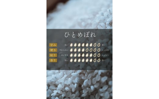 令和5年度産会津喜多方産お米食べ比べ20kgセット 【07208-0271】 - 福島県喜多方市｜ふるさとチョイス - ふるさと納税サイト