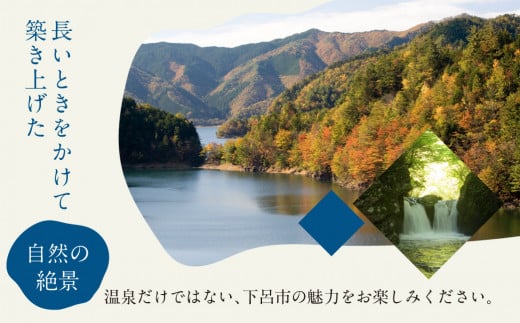 岐阜県下呂市のふるさと納税 下呂温泉宿泊利用クーポン券（30,000円分）旅館 ホテル 宿泊券 旅行 温泉 3万円分 30000円 宿泊 （有効期限 発行日より1年間）下呂市 下呂温泉 岐阜県 宿泊