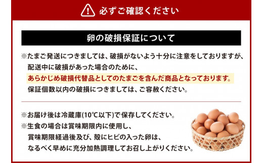 【ふるさと納税】霧島山麓育ち こだわり卵 康卵 たまご 玉子 生卵 鶏卵 30個入り 破損保証3個含む MS L 混合 宮崎県産