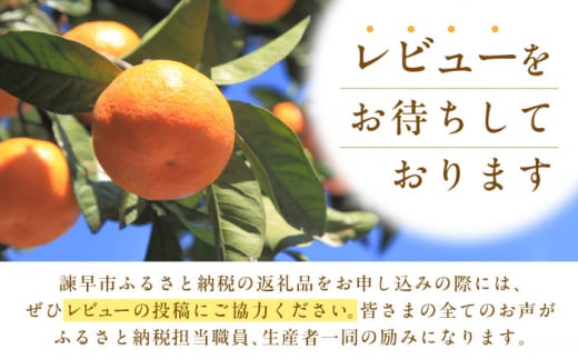 長崎県諫早市のふるさと納税 【最速発送】フルーツゼリー たらみ PURE270g3種×各12個計36個セット / ゼリー フルーツゼリー 果実ゼリー 果物 フルーツ くだもの みかん もも ぶどう / 諫早市 / 株式会社たらみ [AHBR019] スピード 最短 最速 発送