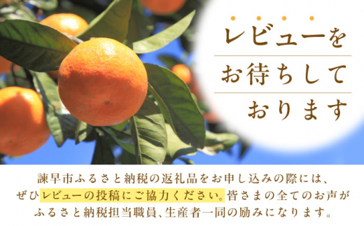 「にこまる」 9kg 米 こめ コメ お米 おこめ 白米 精米 白ご飯 にこまる 長崎県産