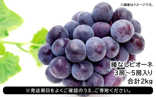 黒い宝石「種なしピオーネ」2kg【ぶどう ピオーネ ぴおーね 3房～5房 2.0kg 2キロ 種無し たねなし 大粒 期間限定 季節限定 7月10日～8月31日発送】  - 島根県益田市｜ふるさとチョイス - ふるさと納税サイト