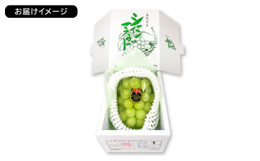 ※お届けイメージ