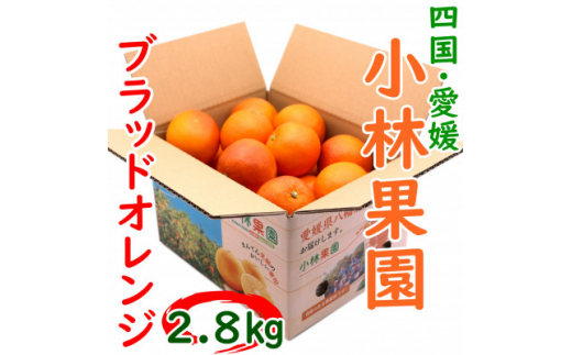 愛媛・小林果園のブラッドオレンジ 約2.8kg＜C24-32＞【1519321】
