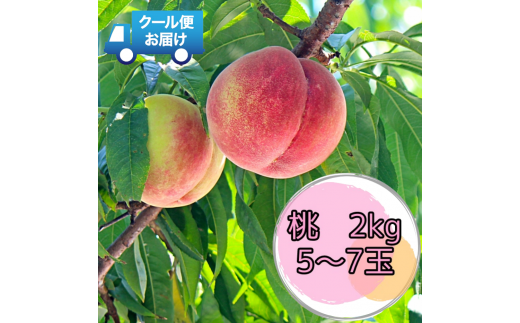 6-175 新鮮なフルーツをクール便発送　桃　2kg（5～7玉）