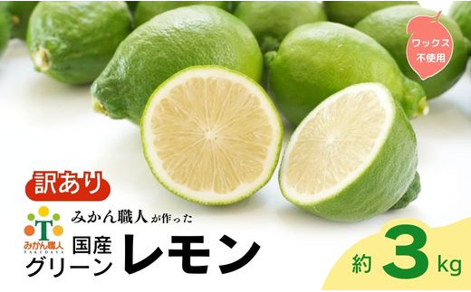 訳あり レモン（グリーンレモン） 3kg りのか ワックス不使用 少量 お試し 人気 アレンジ 農家直送 地場産品 減農薬 レモン グリーンレモン 農家直送 柑橘 かんきつ 檸檬 果物 くだもの 果実 国産 フルーツ 有名 愛媛ブランド 愛媛県産 瀬戸内 美味しい 生産者 直送 産直 無添加 レモンサワー ジュース チューハイ 愛媛県 愛南町 みかん職人武田屋 