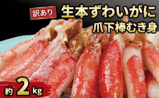 ＼10営業日以内発送／ カニ 蟹 訳あり 本ずわいがに 爪下 棒 むき身 約 2kg 生 本ズワイガニ ニューバーク kani 冷凍 わけあり 訳あり品 ずわいがに カニ ズワイガニ ずわい蟹 ズワイ蟹 蟹 カニ脚 蟹脚 カニ棒肉 生蟹 蟹 カニしゃぶ 人気のカニ ポーション 人気 カニ鍋 蟹鍋 鍋 愛媛 宇和島 D032-116014 1537968 - 愛媛県宇和島市