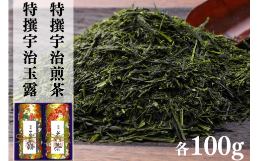 宇治茶 特撰玉露・特撰煎茶飲み比べセット 100g×2缶 〈お茶 茶 煎茶 緑茶 玉露 宇治茶 飲み比べ セット お茶缶 茶筒〉S2703