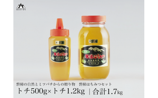 国産純粋はちみつ 天然 磐梯養蜂 磐梯はちみつ 1200g［瓶］ 1.2kg 500g［チューブ］1700g 1.7kg はちみつセット トチはちみつ トチみつ トチ蜜 蜂蜜 ハチミツ はちみつ HONEY ハニー 国産 産地直送 無添加