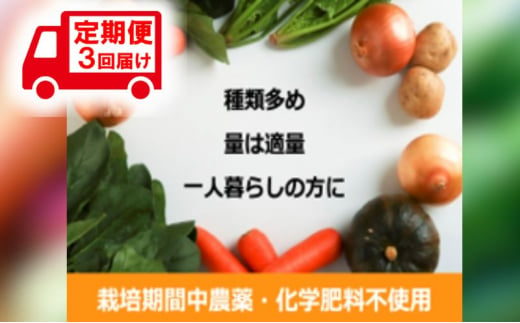 野菜 定期便 3ヶ月 1名様向け 野菜5種 セット 旬の野菜 生野菜 やさい 新鮮 鮮度 産地直送 詰め合わせ 冷蔵 千葉 定期 お楽しみ 3回[№5346-0892] 1380068 - 千葉県千葉市