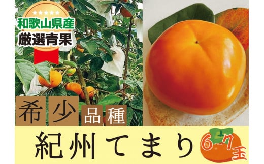 希少品種の柿〇紀州てまり〇6～7玉入り【2024年10月下旬以降発送】 1016988 - 和歌山県かつらぎ町